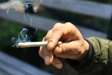 Ilustrasi acara cannabis new york untuk artikel Acara cannabis New York yang layak dikunjungi akhir pekan