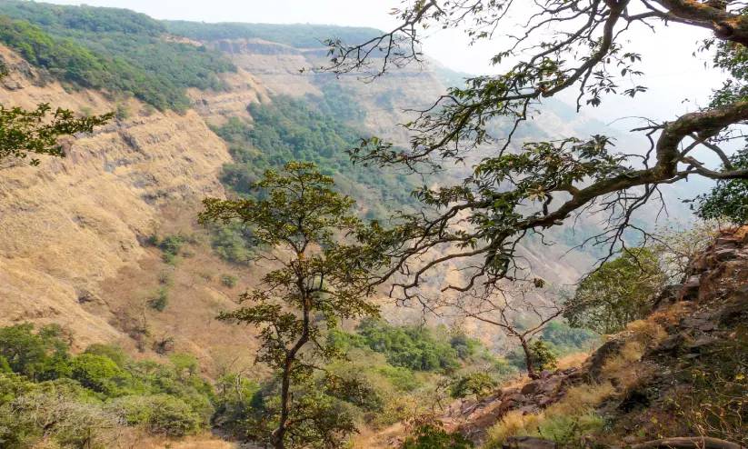 Ilustrasi matheran hill station untuk artikel Matheran Hill Station: Suaka Alam di Maharashtra