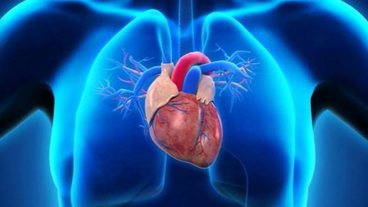 Ilustrasi alat bantu jantung untuk artikel Mengenal LVAD: Alat Bantu Jantung Terkecil Buka Peluang Baru