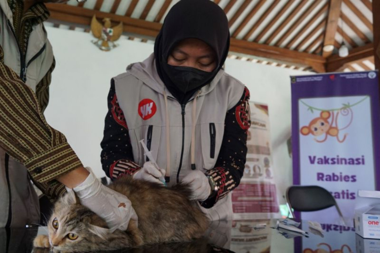 Ilustrasi vaksin rabies gratis untuk artikel 3.000 Dosis Vaksin Rabies Gratis di Yogyakarta, Cek Syarat